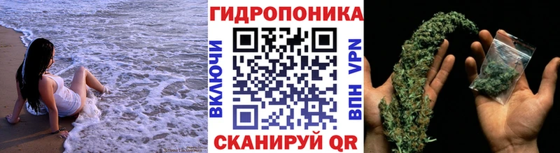Канабис LSD WEED Елизаветинская